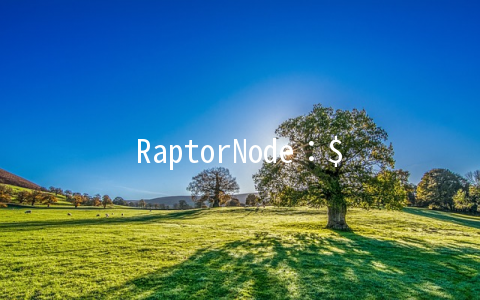 RaptorNode：$6/月KVM-512MB/25GB/500GB/DDoS保护 洛杉矶
