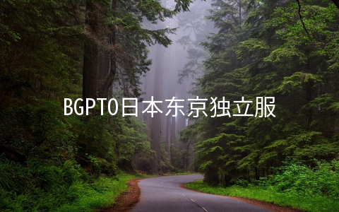 BGPTO日本东京独立服务器上线月付185美元起