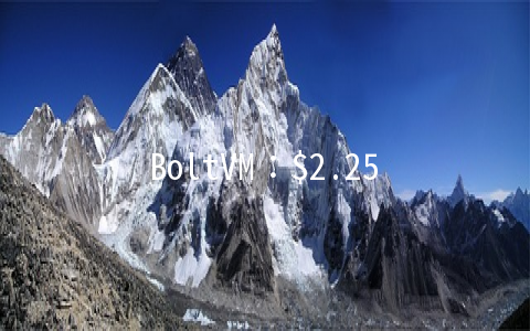 BoltVM：$2.25/月OpenVZ-1GB/100GB/1TB 洛杉矶