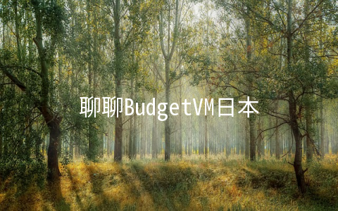 聊聊BudgetVM日本(非直连)机房