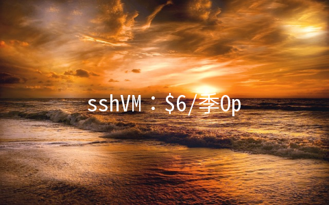 sshVM：$6/季OpenVZ-128MB/10GB/150GB 十数据中心