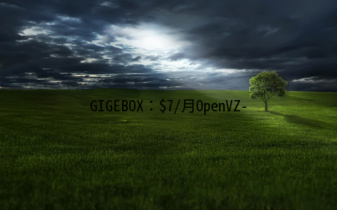 GIGEBOX：$7/月OpenVZ-2GB/30GB/无限 加拿大