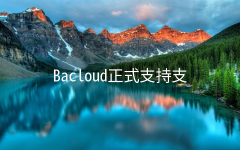 Bacloud正式支持支付宝/微信/银联支付