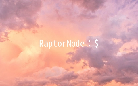 RaptorNode：$4/月OpenVZ-1GB/50GB/1TB/DDoS保护 洛杉矶