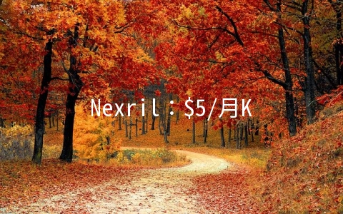 Nexril：$5/月KVM-1GB/15G SSD/1.5TB 达拉斯