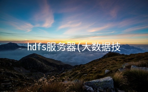 hdfs服务器(大数据技术之HDFS)