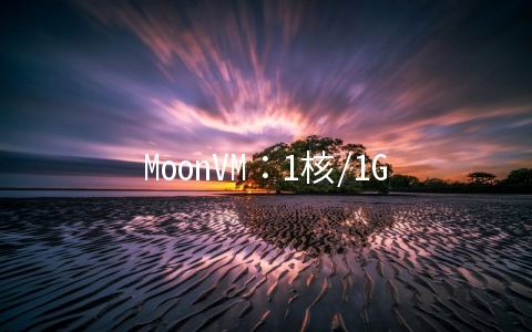 MoonVM：1核/1G/10G SSD/4T单向流量/100Mbps/台湾Hinet直连/月付$45