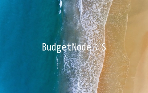 BudgetNode：$24/年KVM-1GB/40GB/1TB 洛杉矶
