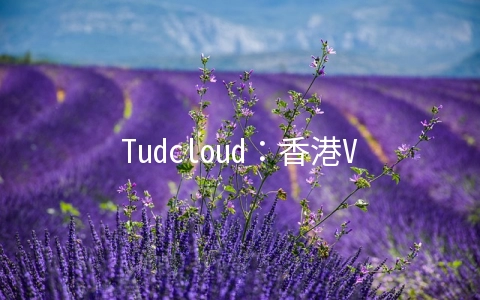 Tudcloud：香港VPS月付8折/半年付7折,可选大带宽或不限流量