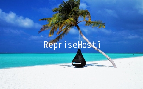 RepriseHosting：西雅图服务器$24.95/月-L5640/16G内存/1TB硬盘/10TB月流量