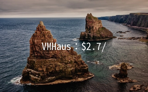 VMHaus：$2.7/月KVM-512MB/10GB/500GB 英国