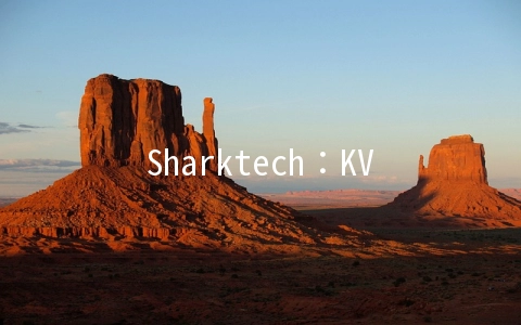 Sharktech：KVM七五折/2GB/30G SSD/4TB/洛杉矶(高防)每月8.96美元