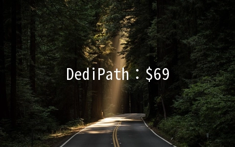 DediPath：$69/月-E3 1240v2/16GB/2TB/1G无限流量/5IP/洛杉矶机房