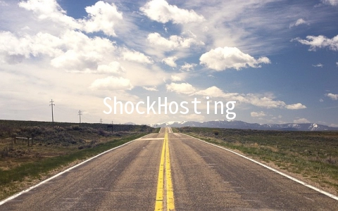 ShockHosting：$3.74/月KVM-1G/200G/1TB/洛杉矶/支付宝&微信