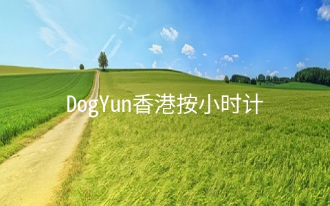 DogYun香港按小时计费云服务器下单流程