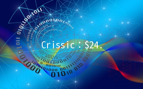 Crissic：$24.65/月KVM-1GB/30GB/1TB/2IP/免费CP 洛杉矶