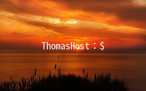 ThomasHost：$8.5/月KVM-2GB/50GB/500GB 五数据中心