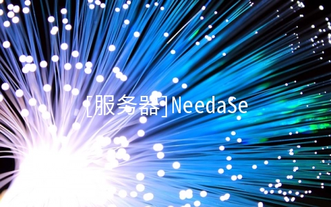 [服务器]NeedaServer：$53.95/月-Dual L5520/24GB/1TB/100M无限/IPMI 洛杉矶
