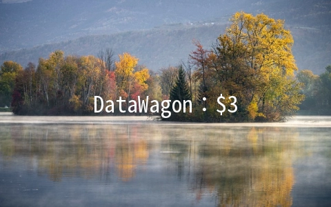 DataWagon：$39.99/月-2xL5420/16GB/1TB/33TB/5IP/80Gbps DDoS保护/纽约机房