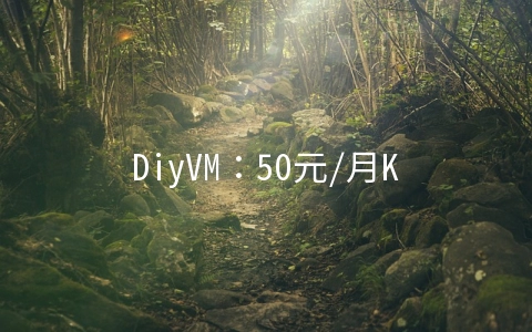 DiyVM：50元/月KVM-2GB/50GB/5M/香港CN2&日本&美国机房可选