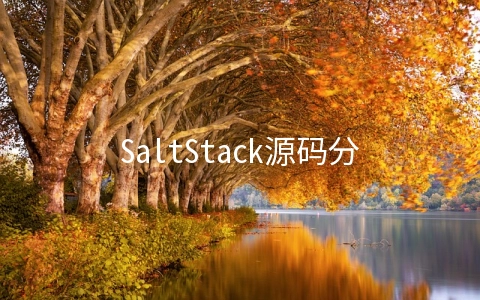 SaltStack源码分析之使用Redis模块 - 系统运维