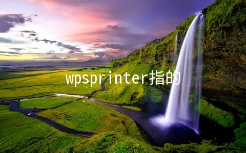 wpsprinter指的是什么软件 - 互联网科技