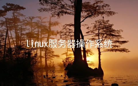 linux服务器操作系统有哪些优点