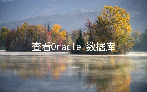 查看Oracle 数据库的每天归档量大小 - 行业资讯