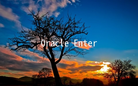 Oracle Enterprise Manager 11g 启停 - 关系型数据库