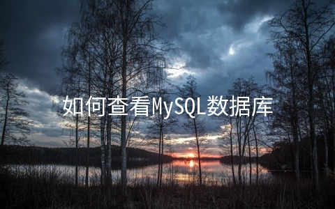 如何查看MySQL数据库表的命令 - 数据库