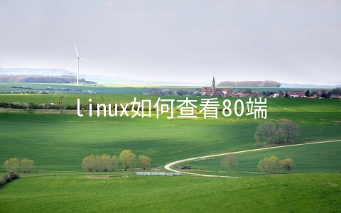 linux如何查看80端口被哪个进程占用