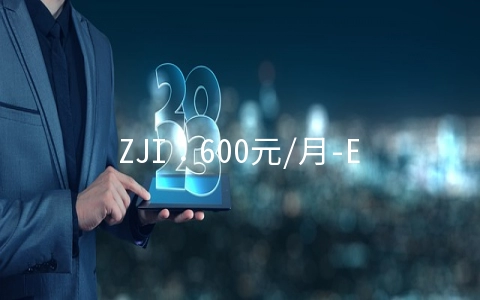 ZJI：600元/月-E5-2637v2/16GB/1TB SSD/20M CN2/香港葵湾机房