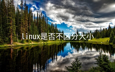 linux是否不区分大小写