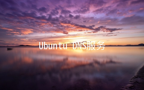 Ubuntu DNS服务器启动配置方式