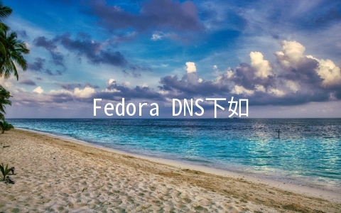 Fedora DNS下如何安装各种系统