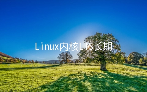 Linux内核LTS长期支持版生命周期是什么