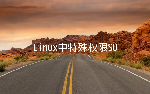 Linux中特殊权限SUID、SGID与SBIT的示例分析