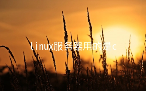 linux服务器用的是centos还是ubuntu系统