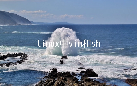 linux中vim和shell脚本的使用方法