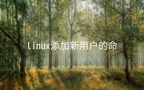linux添加新用户的命令是哪个