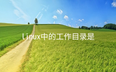 linux中的工作目录是哪个