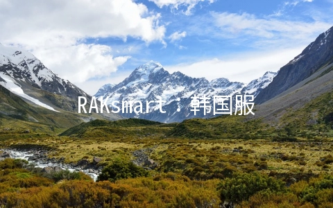 RAKsmart：韩国服务器秒杀$59/月起,2*E5-2620v2/32GB/1TB/10M精品网