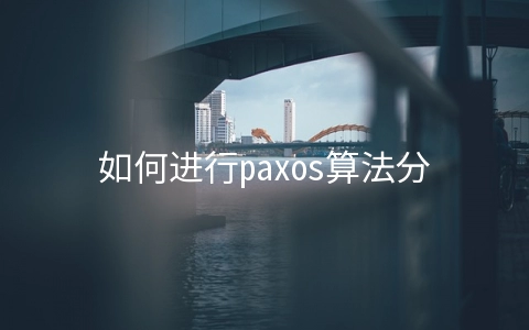 如何进行paxos算法分析