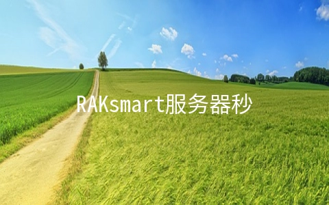 RAKsmart服务器秒杀$30/月起,1Gbps不限流量服务器$99/月起