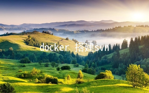 docker 搭建svn服务器的方法示例