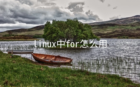 linux中for怎么用