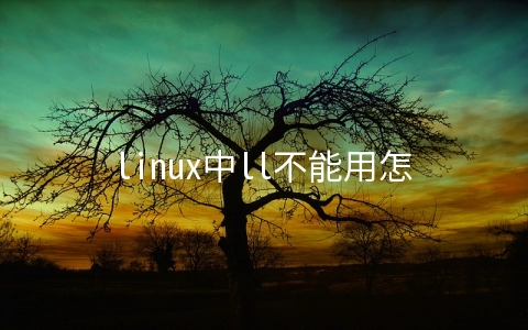 linux中ll不能用怎么解决