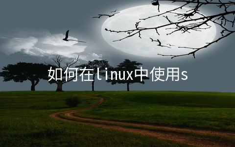 如何在linux中使用shell函数式