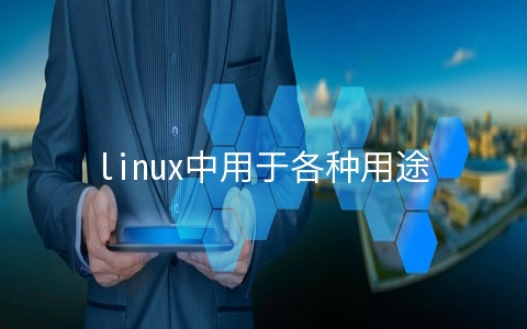 linux中用于各种用途的优秀树莓派操作系统有哪些