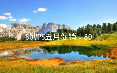 80VPS五月促销：800元/月-E3-1230/32GB/1TB/8C(232个IP)站群服务器